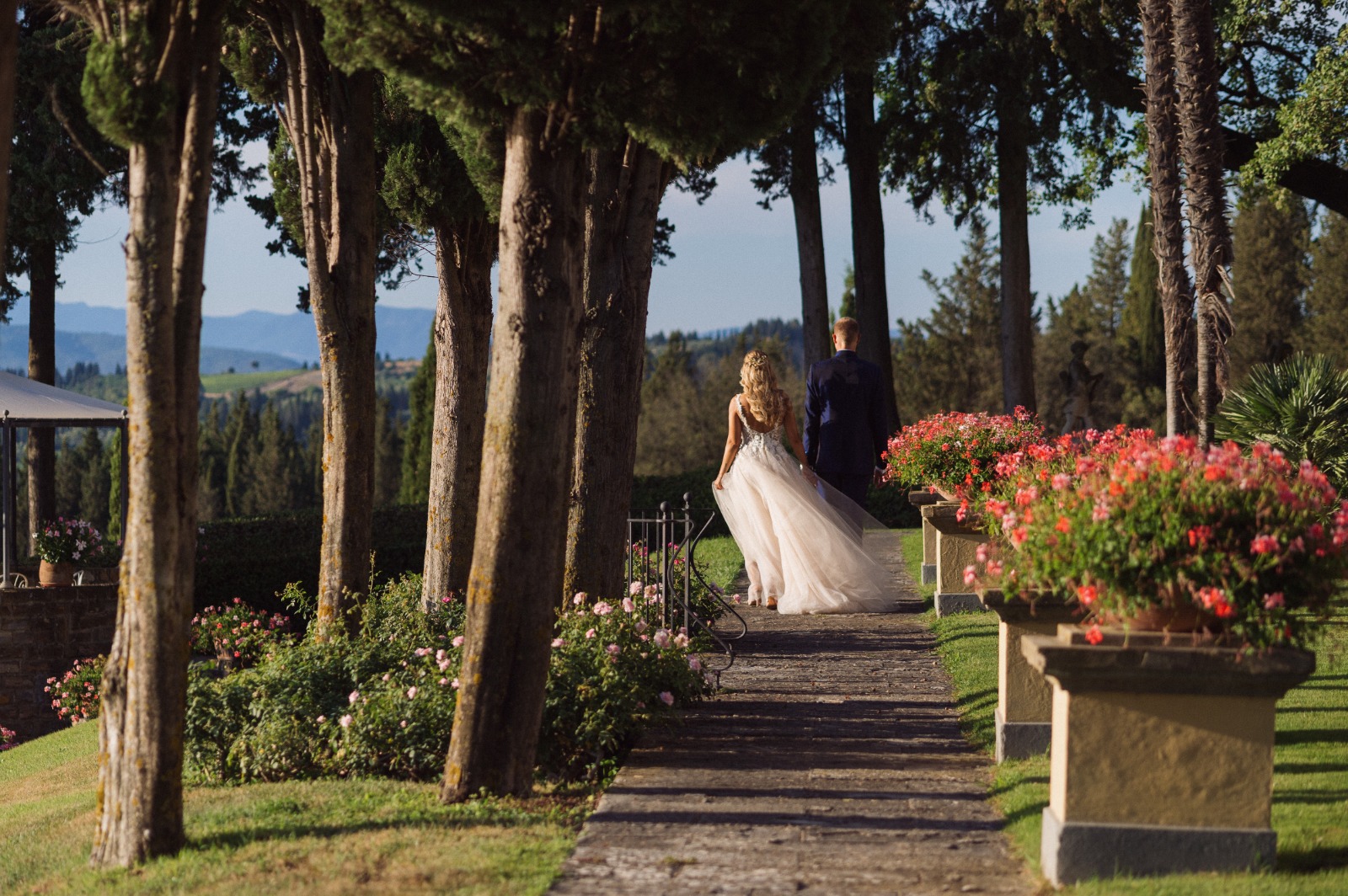 A cypress avenue overlooking the Tuscan hills